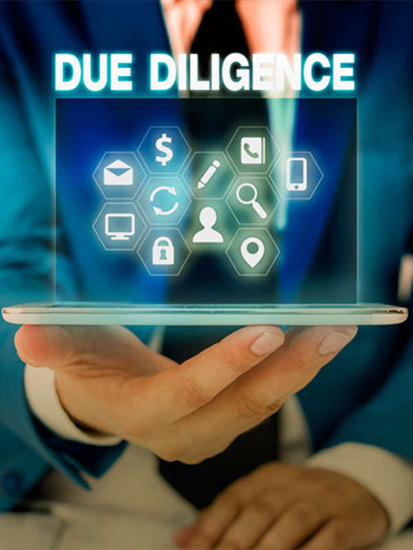  Due Diligence Audit